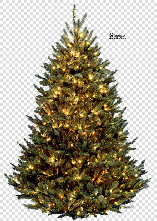 Christmas Tree Png Download Cliparts Only Clipground   Christmas Tree With Lights Png  Transparent PngTransparent PNG