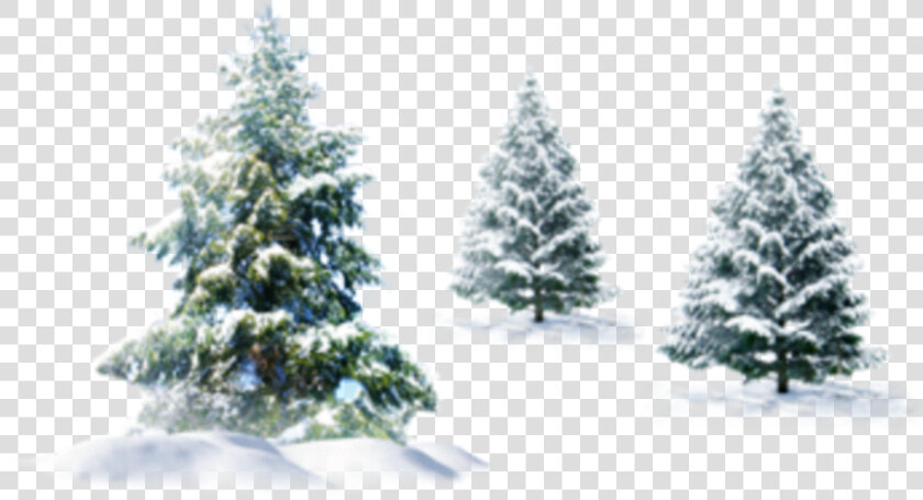  ftestickers  winter  snow  landscape  trees  pine   Transparent Background Christmas Snow Png  Png DownloadTransparent PNG