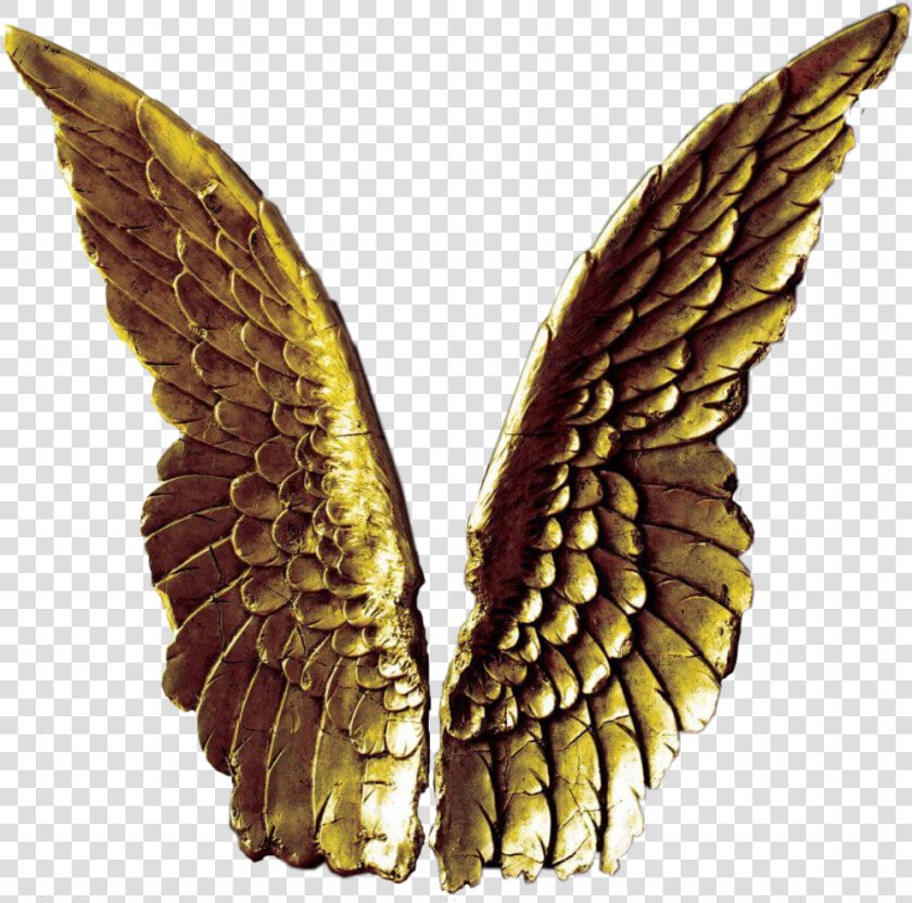  angelwings  gold  golden  freetoedit  scangelwings   Angel Wings Decor  HD Png DownloadTransparent PNG