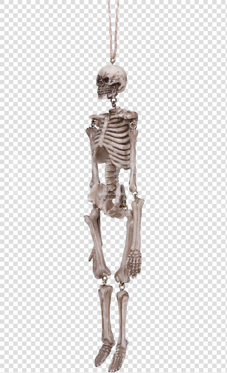 Transparent Hanging Png   Hanging Skeleton Png  Png DownloadTransparent PNG