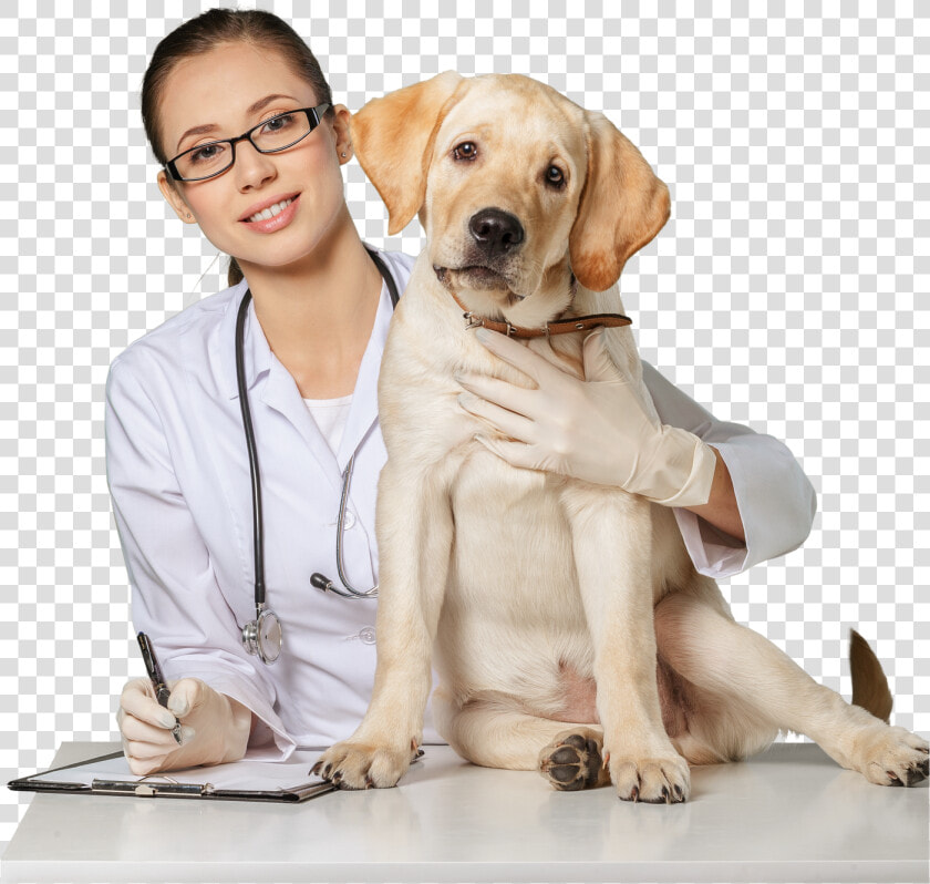 Veterinarian Philippines  HD Png DownloadTransparent PNG