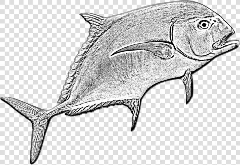 Transparent Ocean Fish Png   Ikan Kue Png  Png DownloadTransparent PNG