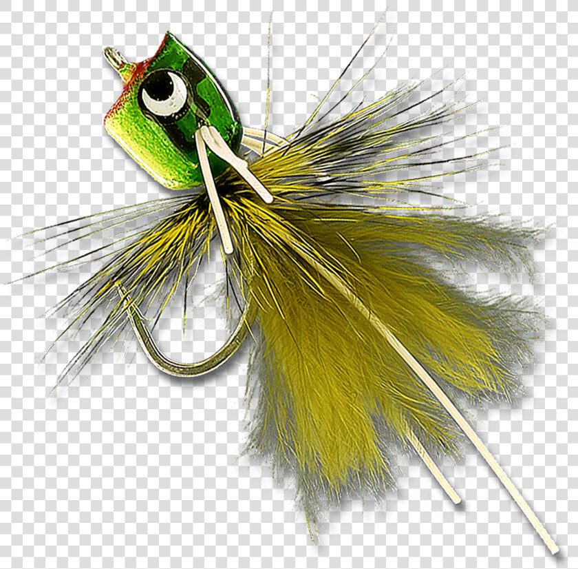 Bass  amp  Bluegill Mini Poppers   Insect  HD Png DownloadTransparent PNG