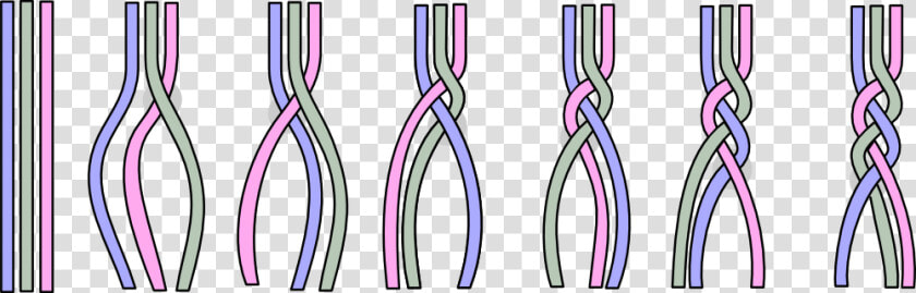 Braiding A technique   Braided File Technique  HD Png DownloadTransparent PNG