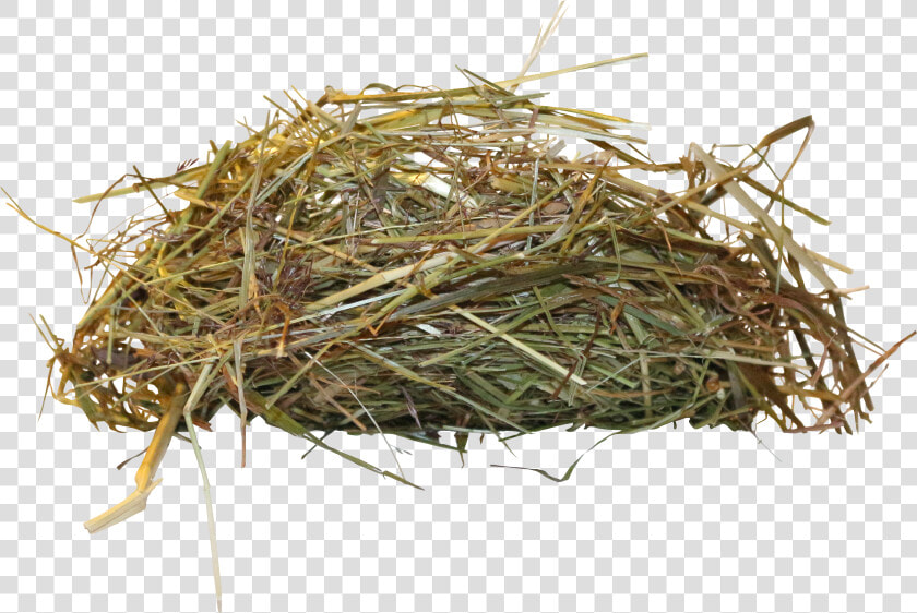 Edible Birds Nest Bird Nest   Birds Nest Transparent  HD Png DownloadTransparent PNG