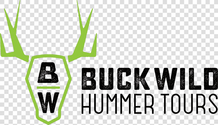 Buck Wild Hummer Tours   Emblem  HD Png DownloadTransparent PNG