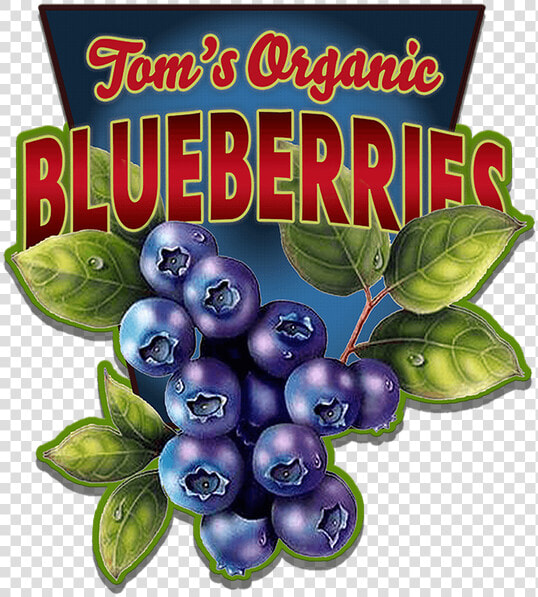 Transparent Blueberries Png   Vintage Blueberry Signs  Png DownloadTransparent PNG