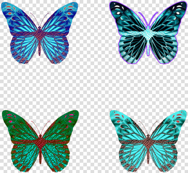 Butterfly  Butterflies  Iridescent  Wings  Op art  HD Png DownloadTransparent PNG