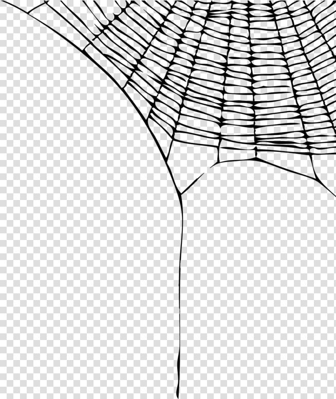 Png Format Images Of Spider Web   Spider Web Transparent Background  Png DownloadTransparent PNG