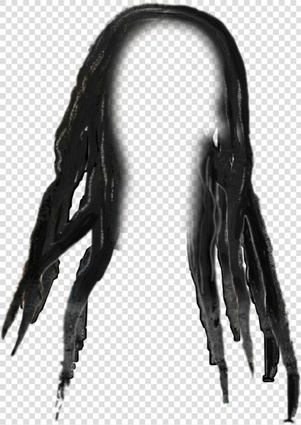 Long hair   Dreadlocks Png  Transparent PngTransparent PNG