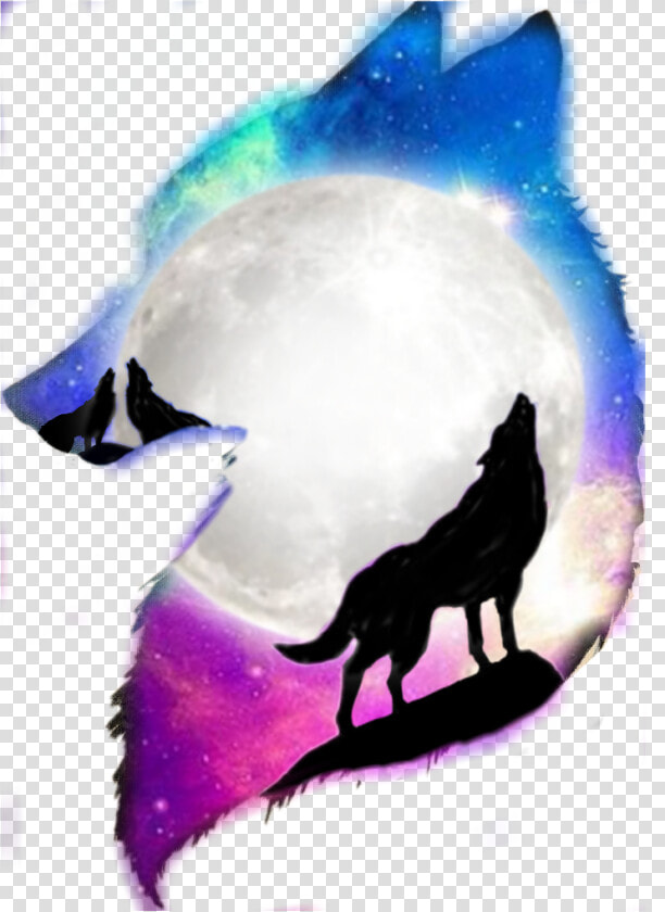  wolf  mone  space  galaxy   Silhouette  HD Png DownloadTransparent PNG