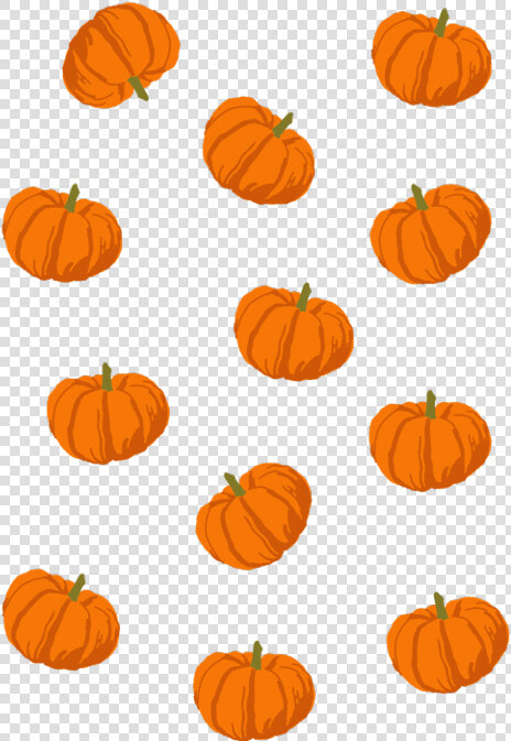 Transparent Pumpkin Vine Png   Pumpkin Png  Png DownloadTransparent PNG