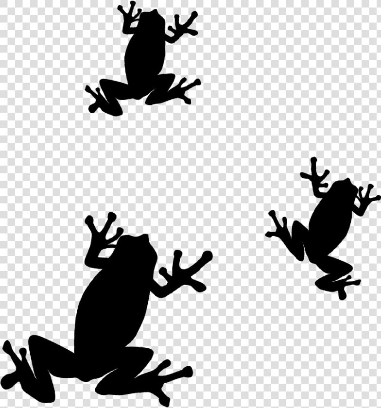 Toad Frog Silhouette Clip Art   カエル イラスト シルエット  HD Png DownloadTransparent PNG