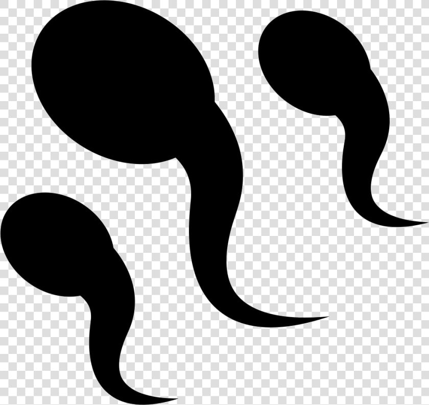 Sperm   Sperm Vector Png  Transparent PngTransparent PNG