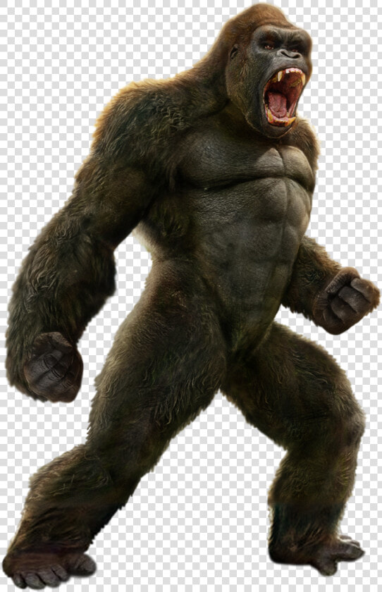 The Death Battle Fanon Wiki   King Kong Png Hd  Transparent PngTransparent PNG