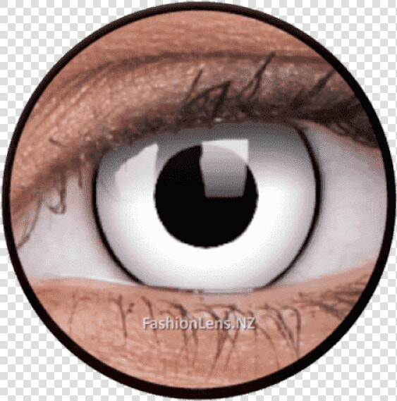 Contact Lenses Clipart   Png Download   Contact Lenses  Transparent PngTransparent PNG