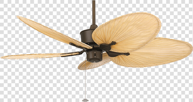 Islander Fanimation Palm Blade Fan   Modern Ceiling Fan South Africa  HD Png DownloadTransparent PNG