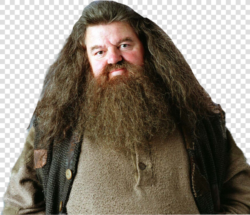  hagrid   Hagrid Harry Potter  HD Png DownloadTransparent PNG