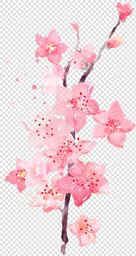 Watercolor Plum Blossom Transparent Decorative   Watercolor Pink Flower  HD Png DownloadTransparent PNG