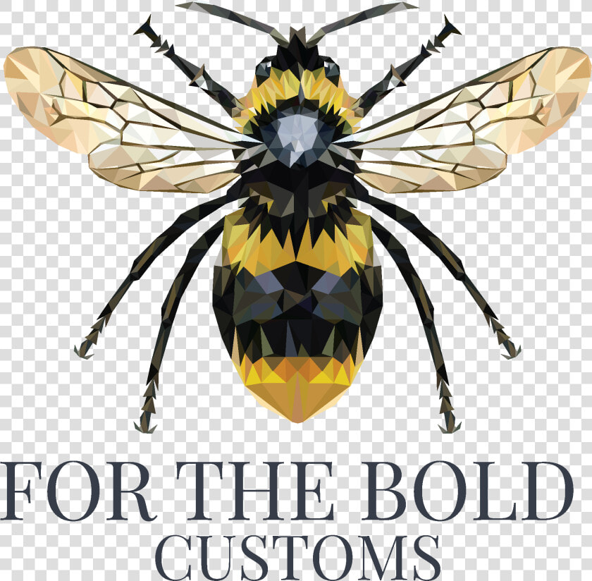 For The Bold Customs   Hornet  HD Png DownloadTransparent PNG