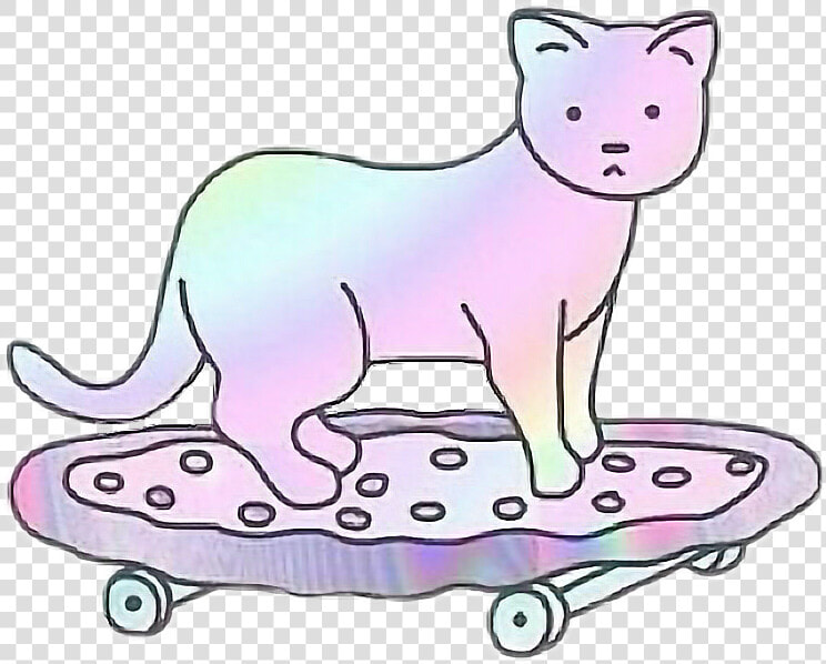  cat  gatos  skate  colors  tumblr  freetoedit  HD Png DownloadTransparent PNG