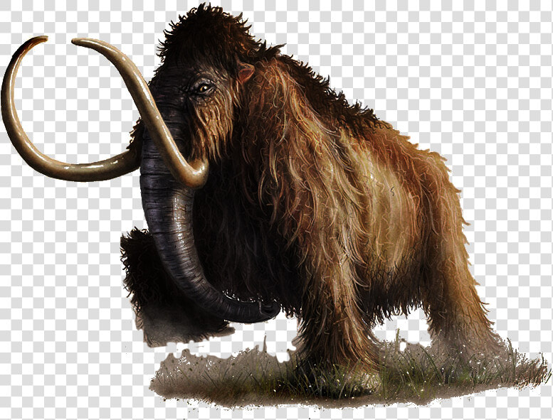 D amp d 5e Mammoth   Png Download   Mammoth Art Dnd  Transparent PngTransparent PNG