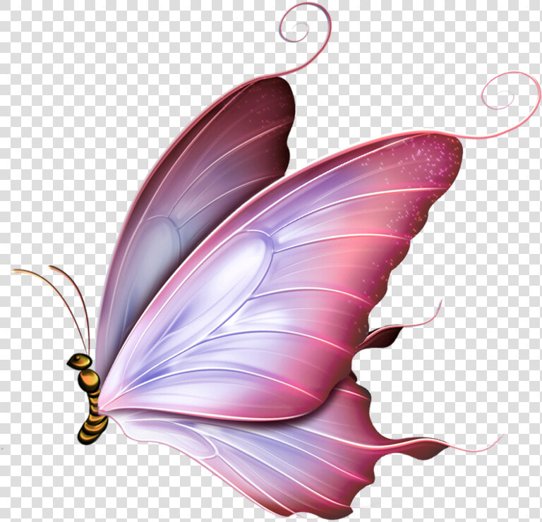 Transparent Pink Butterfly Png   Pink Butterfly Png  Png DownloadTransparent PNG