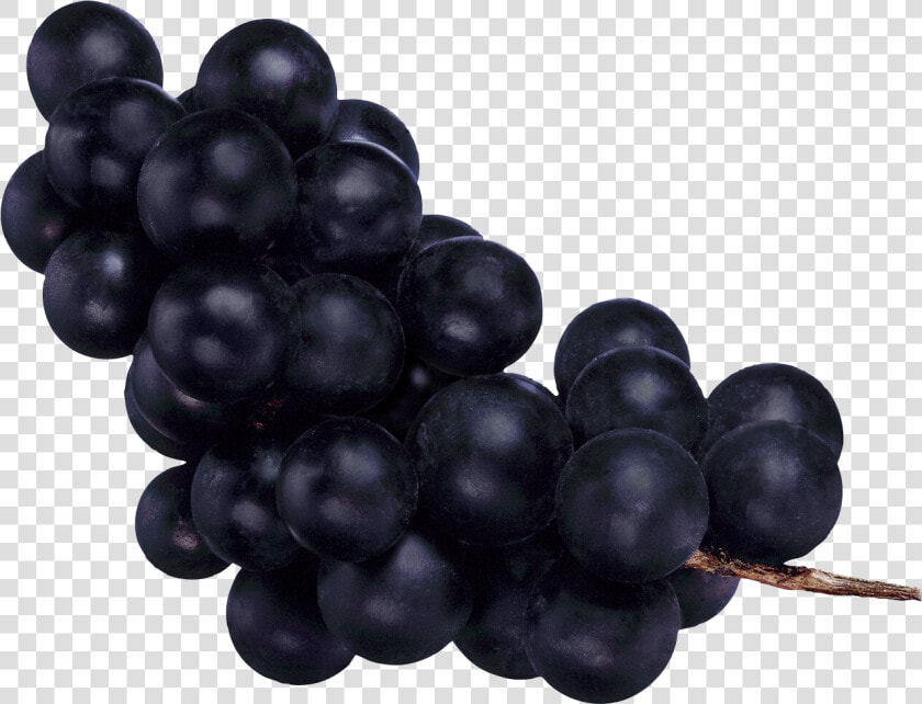 Grape Png Image   Темный Виноград Png  Transparent PngTransparent PNG