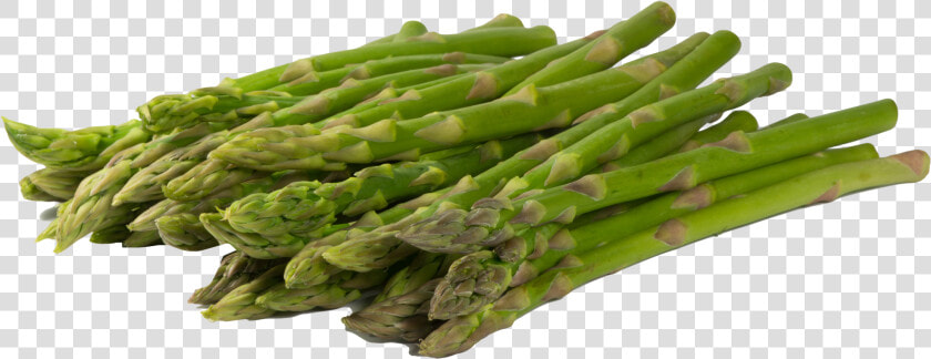 Asparagus Png Image   Espárragos Png  Transparent PngTransparent PNG