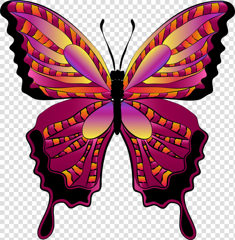 Red Butterfly Clipart Image   Transparent Background Png Format Butterfly Png  Png DownloadTransparent PNG