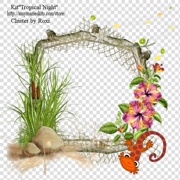 Cluster Frames Below   Tropical Cluster Frames  HD Png DownloadTransparent PNG