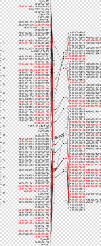 Slope  HD Png DownloadTransparent PNG