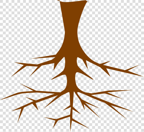 For Free Download   Tree Of Life Values  HD Png DownloadTransparent PNG