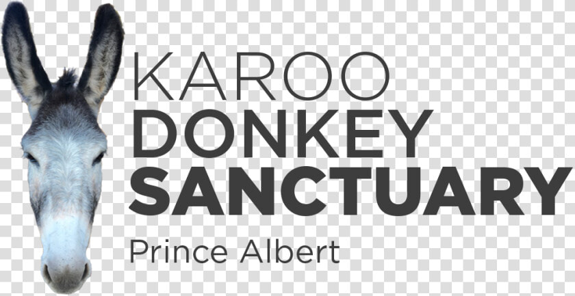 Karoo Donkey Sanctuary  HD Png DownloadTransparent PNG