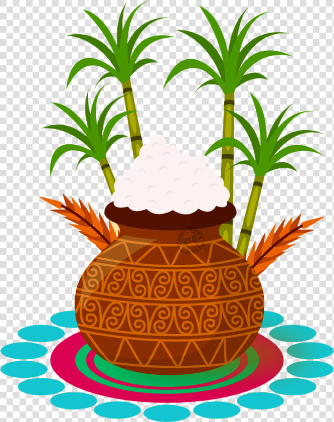 Sankranti Png  Transparent PngTransparent PNG