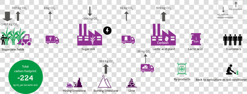 During The Growing Of The Sugar Cane  Co2 Is Absorbed  HD Png DownloadTransparent PNG