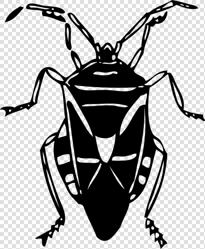 Lightning Bug Buddy Clipart  Vector Clip Art Online    Free Clipart Black And White Bug  HD Png DownloadTransparent PNG