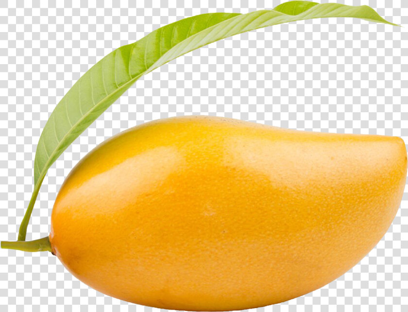 Mango Png Clipart   Png Image Of Mango  Transparent PngTransparent PNG