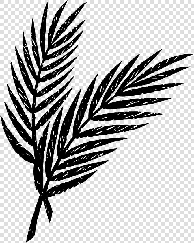 Palm Sunday Palm Clip Art  HD Png DownloadTransparent PNG