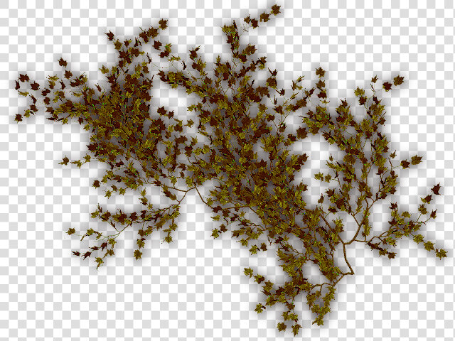 Transparent Hanging Ivy Png   Dundjinni Ivy  Png DownloadTransparent PNG