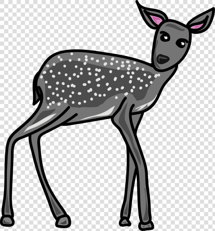 Wildlife antler musk Deer   Grey Animals Clip Art  HD Png DownloadTransparent PNG