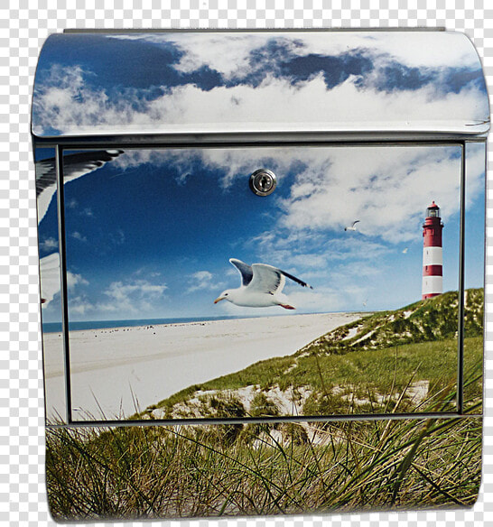 Transparent Sea Gull Png   Briefkasten Mit Motiv  Png DownloadTransparent PNG