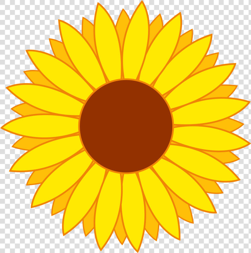 Pngpix   Sunflower Clipart  Transparent PngTransparent PNG