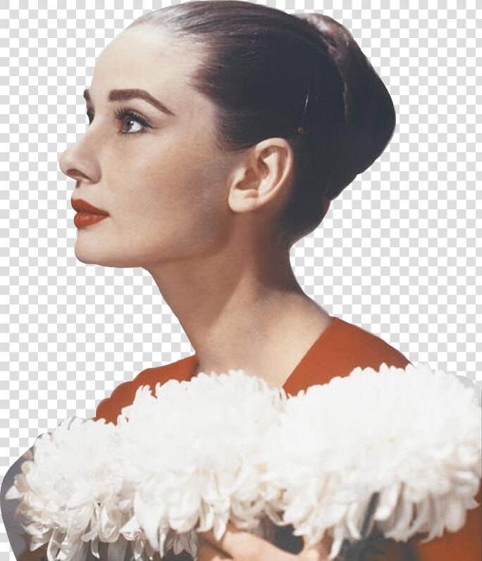  audrey  hepburn  audreyhepburn  actress  flowers  movie   オードリー ヘップバーン 横顔  HD Png DownloadTransparent PNG