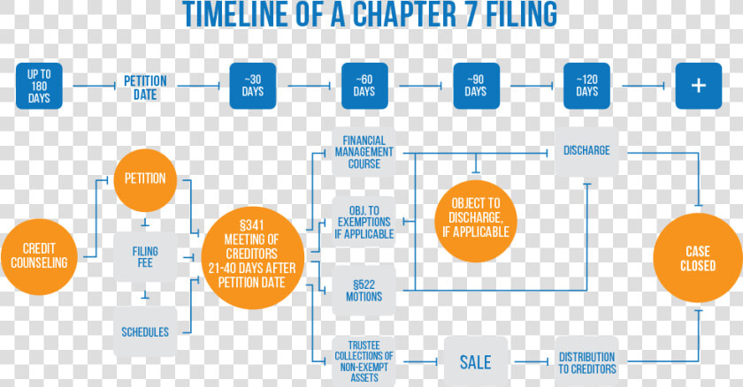 Chapter 7 Timeline  HD Png DownloadTransparent PNG