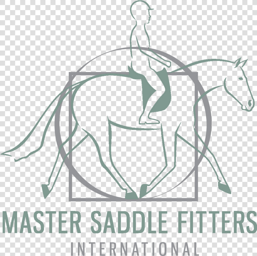 Master Saddle Fitters International  HD Png DownloadTransparent PNG