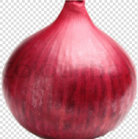 Onion Png Transparent Images   Red Onion  Png DownloadTransparent PNG