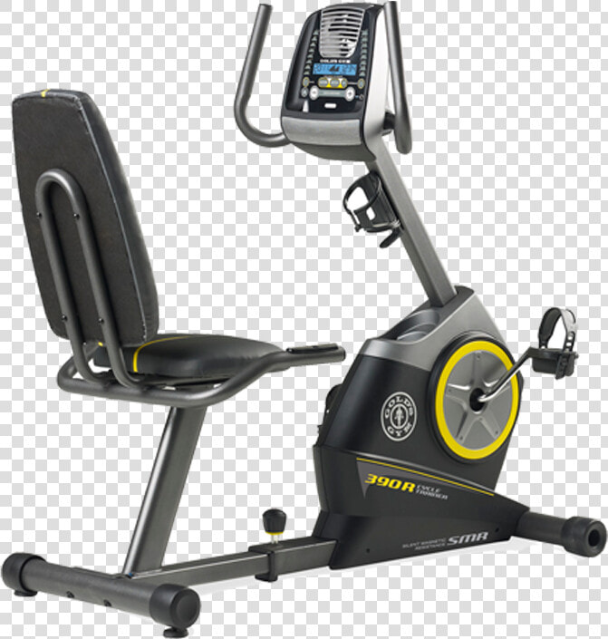 Category   Gold  39 s Gym 390r Exercise Bike  HD Png DownloadTransparent PNG