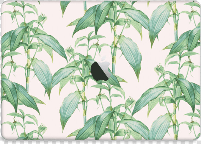 Foliage Love Skin Macbook Air 2018    Bird  HD Png DownloadTransparent PNG