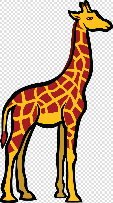 Giraffe Cliparts   Coloured Picture Of Giraffe  HD Png DownloadTransparent PNG